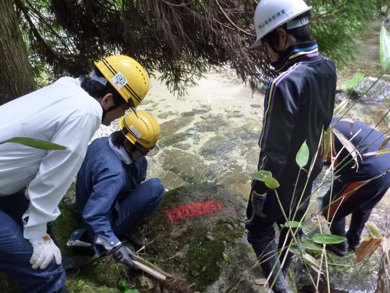 発見した天然岩石標