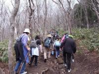 一生懸命登ります