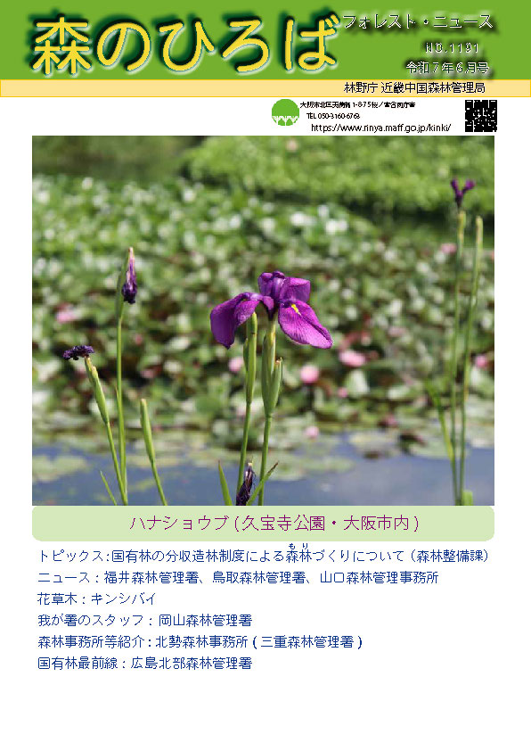 No1191 森のひろば令和7年6月号