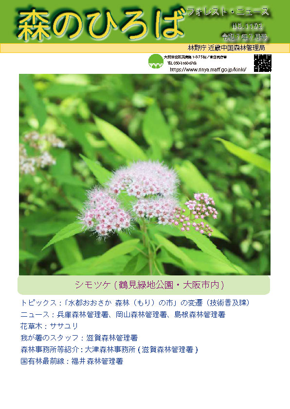 森のひろば令和7年7月号