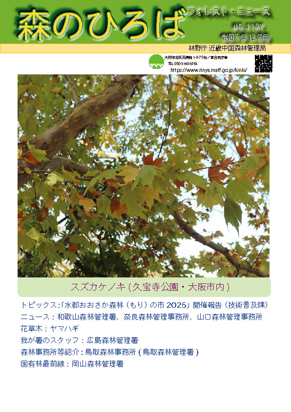 広報誌森のひろば