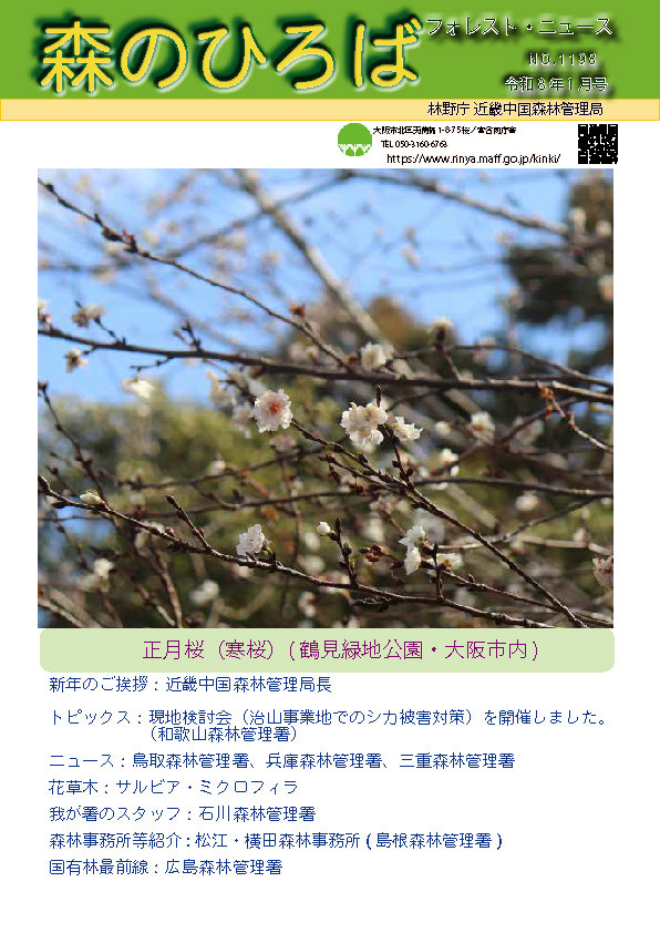 森のひろば令和8年1月号