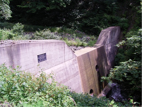 大野市　秋生国有林