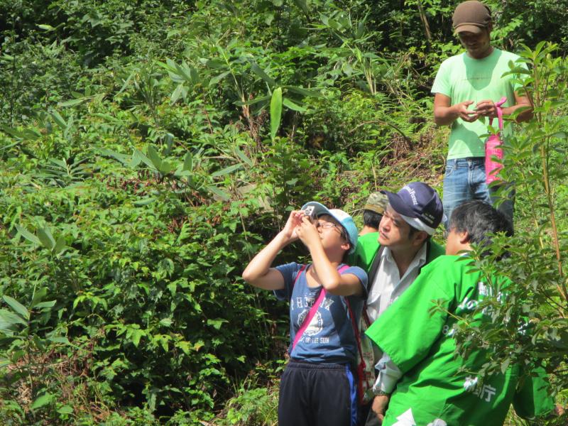 こどもたちによる樹高測定の様子