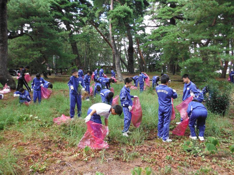 メリケンカルカヤ駆除を行う中学生（その1）