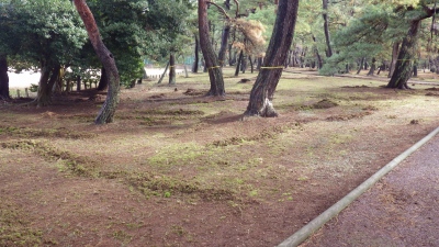 作業後