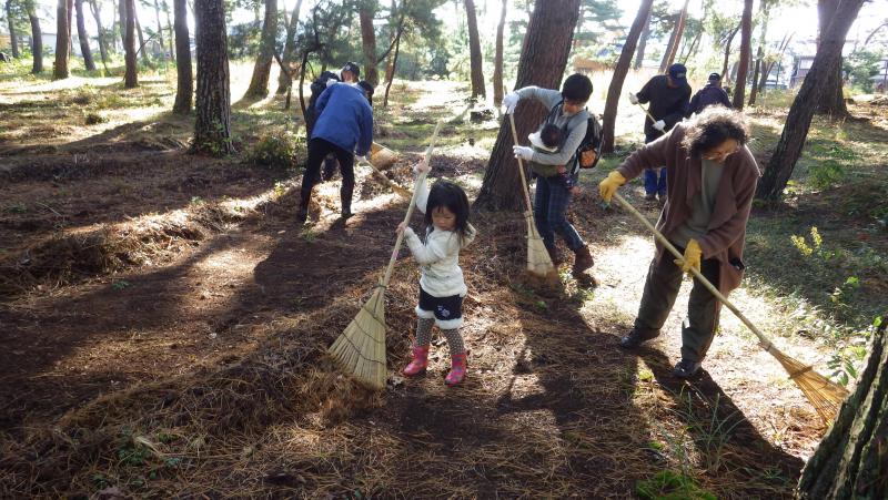 一生懸命に松葉かきをしています。