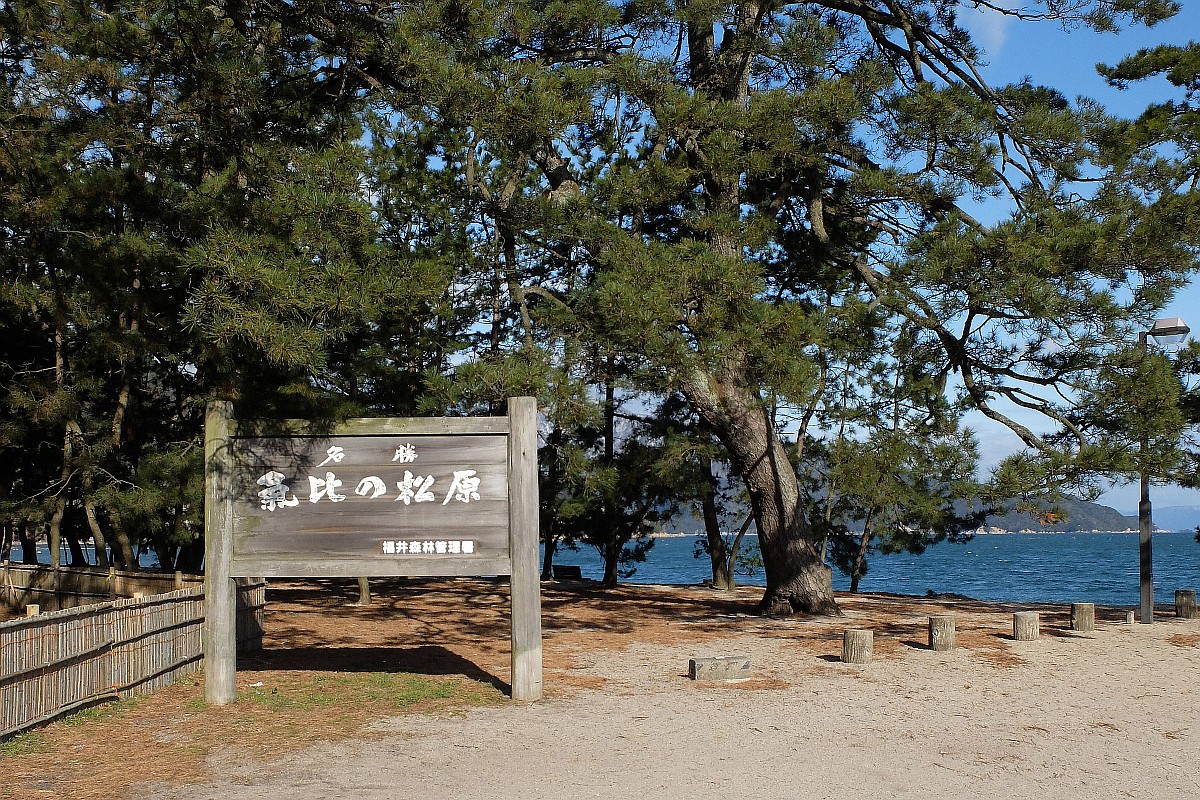 気比の松原