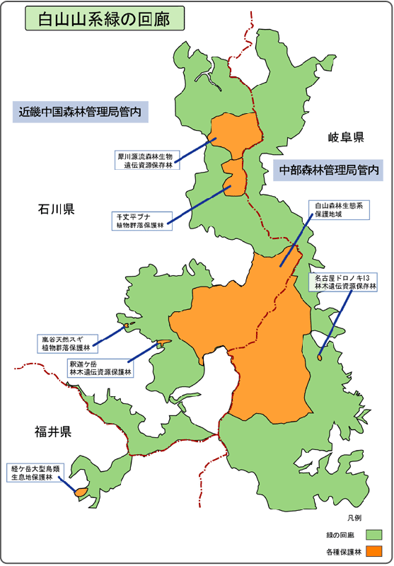 白山山系緑の回廊　（大）