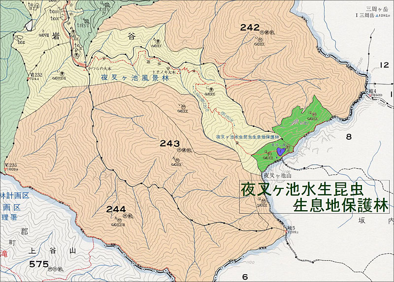 MAP 夜叉ヶ池水生昆虫生息保護林