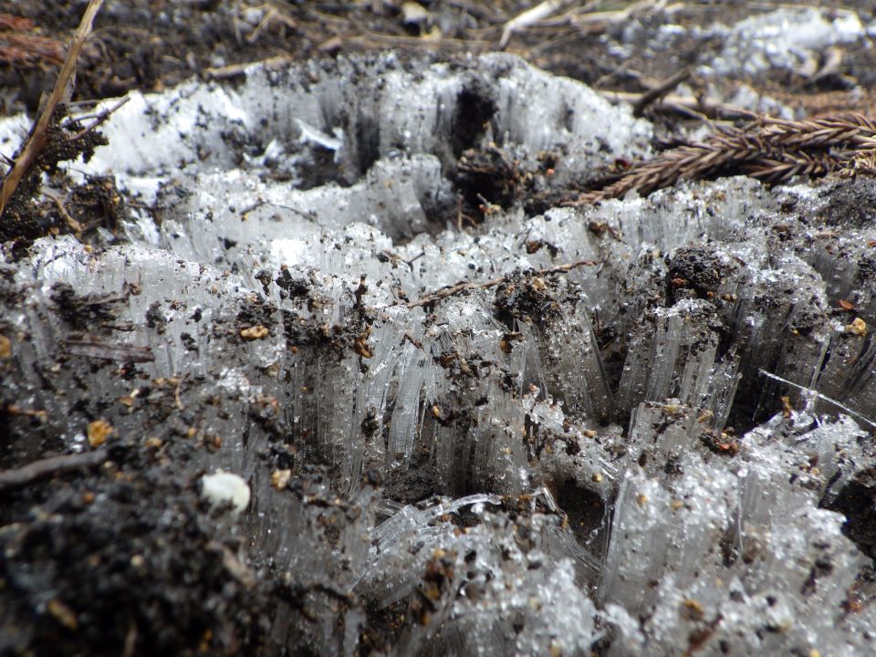 霜柱を拡大して撮影した写真