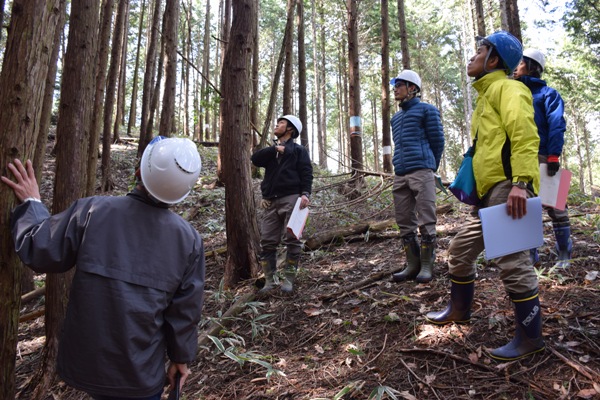 入開山国有林間伐試験地視察