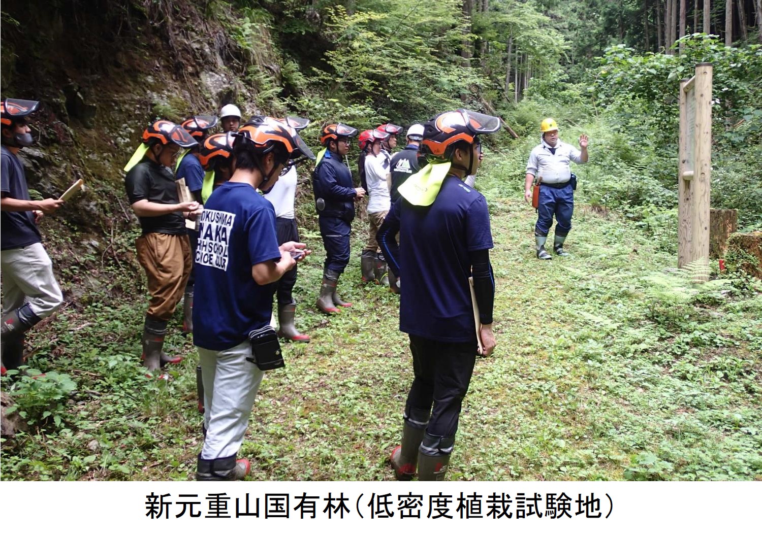 新元重山（低密度植栽試験地）