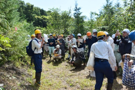 2日目のエリートツリーの説明