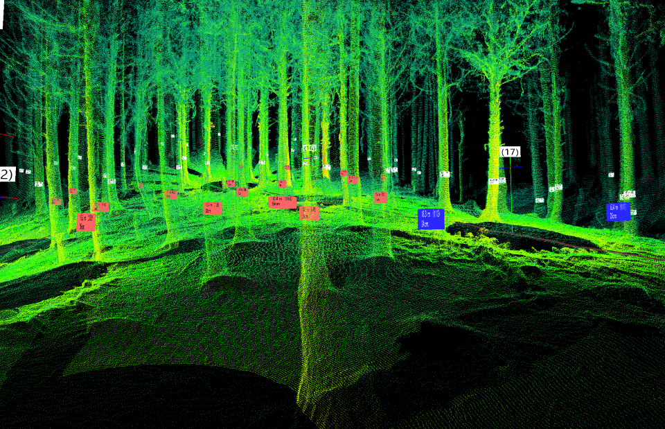3D取得データを投影した画像(ウォークスルー画像)