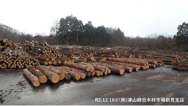 (株)津山綜合木材市場新見支店（R2.12.16撮影）
