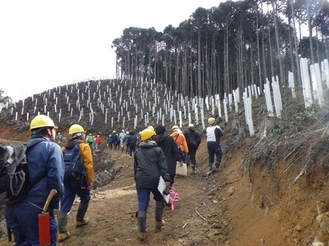 単木防護柵の説明