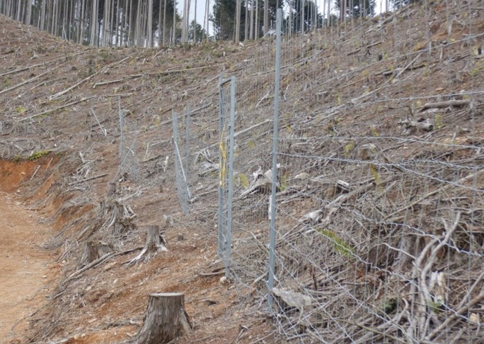 設置した鋼製防護柵