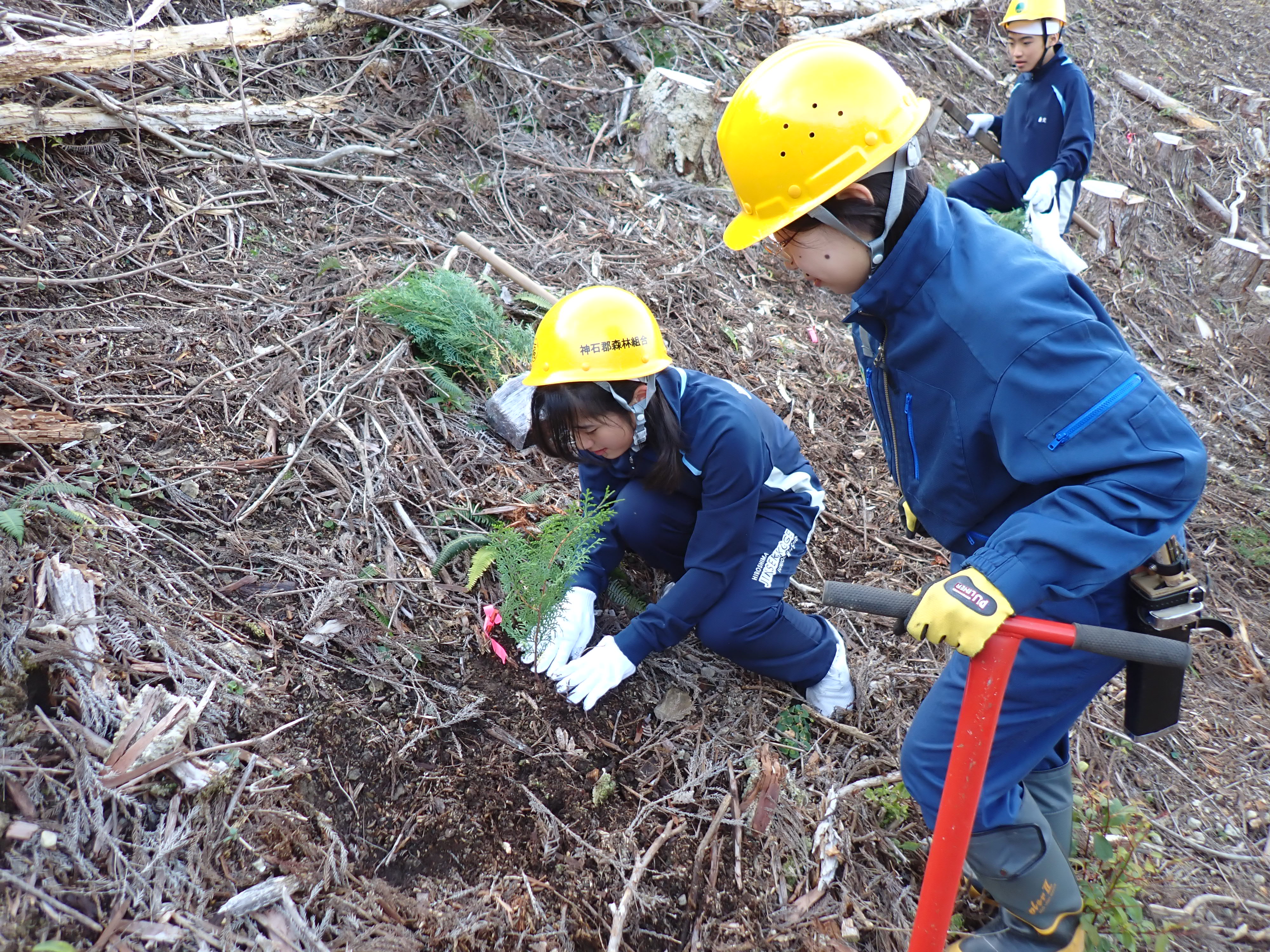 植栽器を使用しての植樹体験