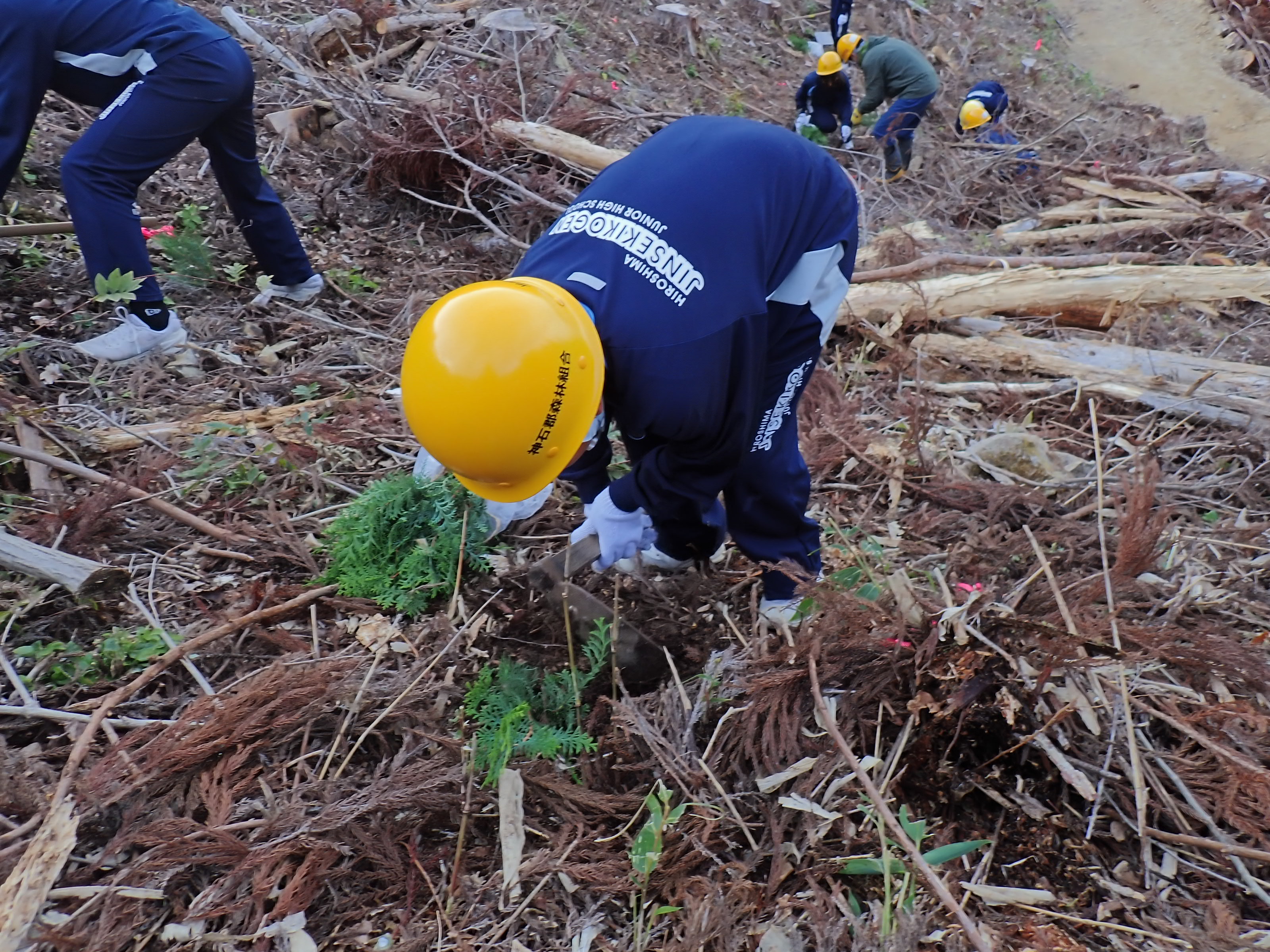 植栽器を使用しての植樹体験