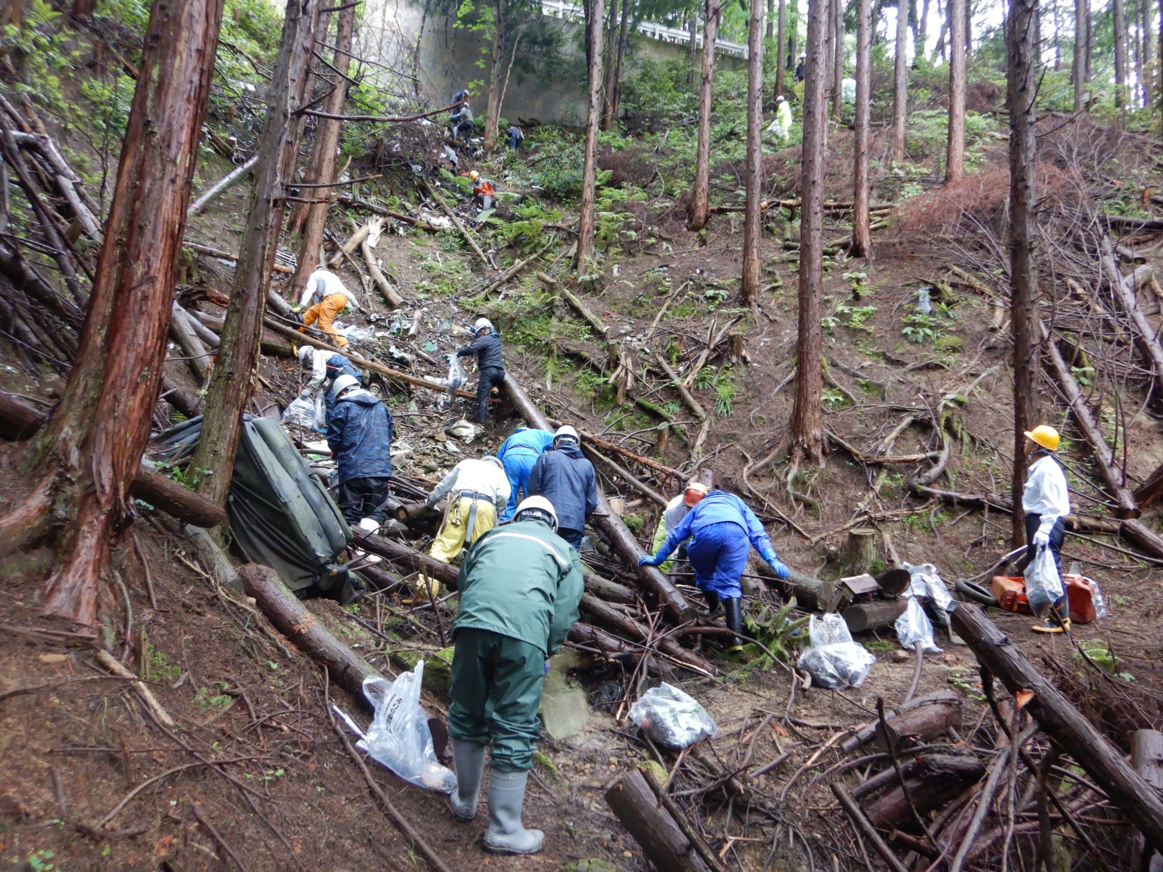 谷に不法投棄されたゴミを回収する参加者たち