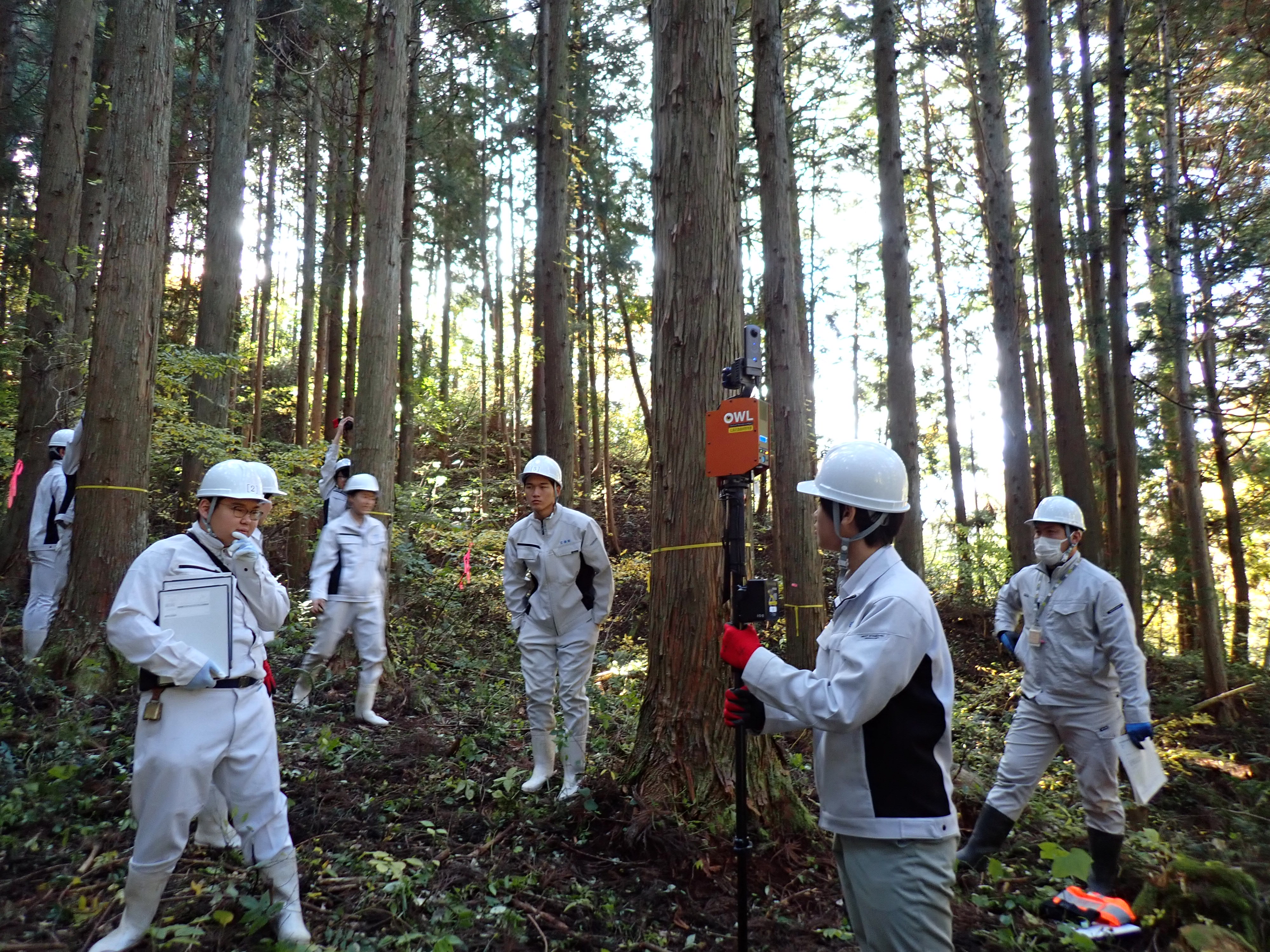 3次元レーザー計測での森林調査