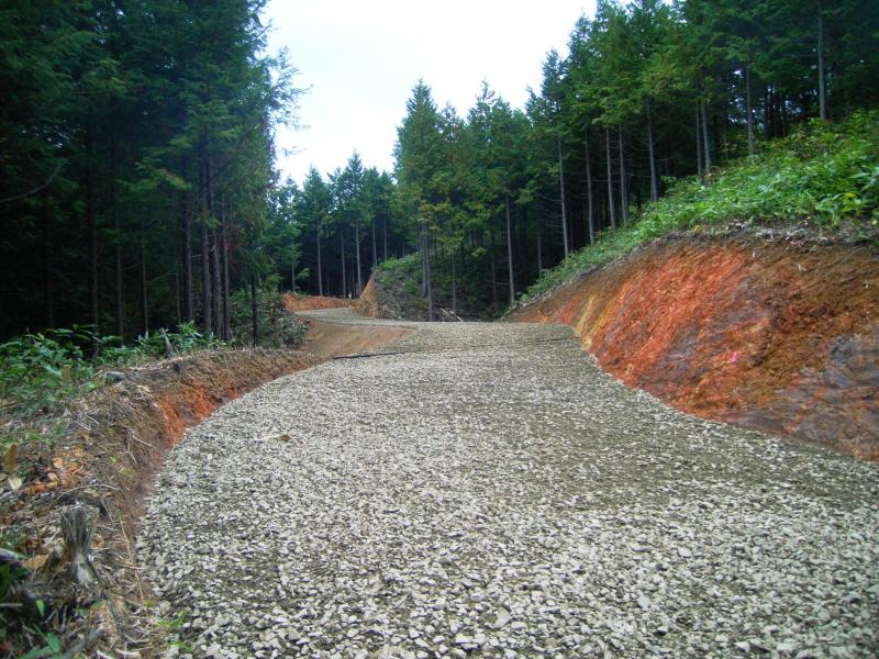 鳴瀬山林業専用道