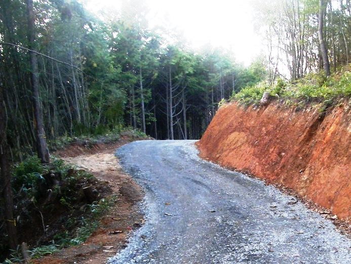 第二新元重山林業専用道