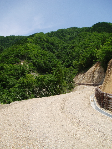 指谷山国有林