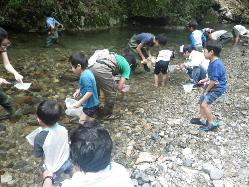 １５８２２水生生物調査