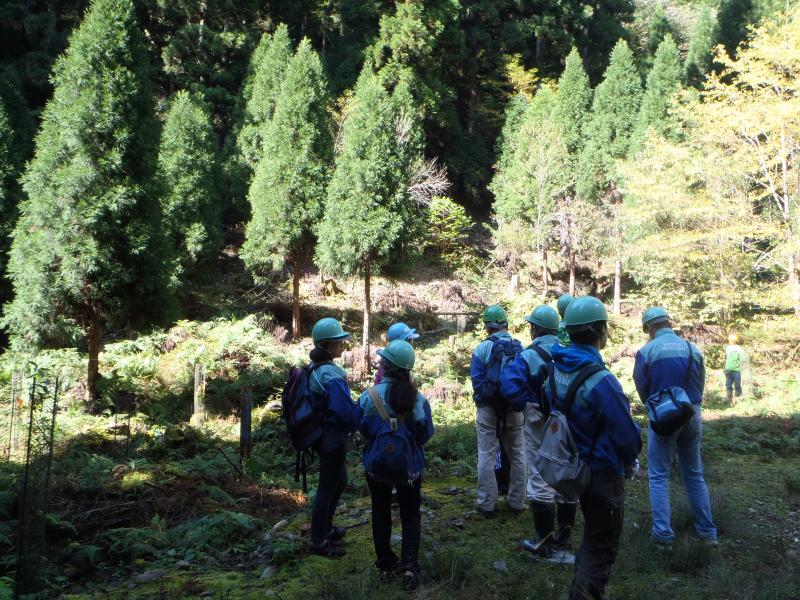 日触秋植樹跡