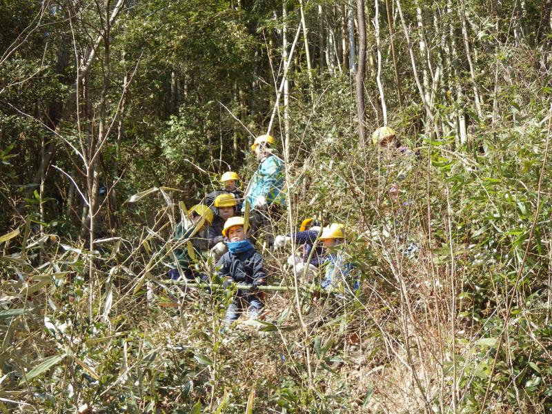 蓮花寺山笹引張る