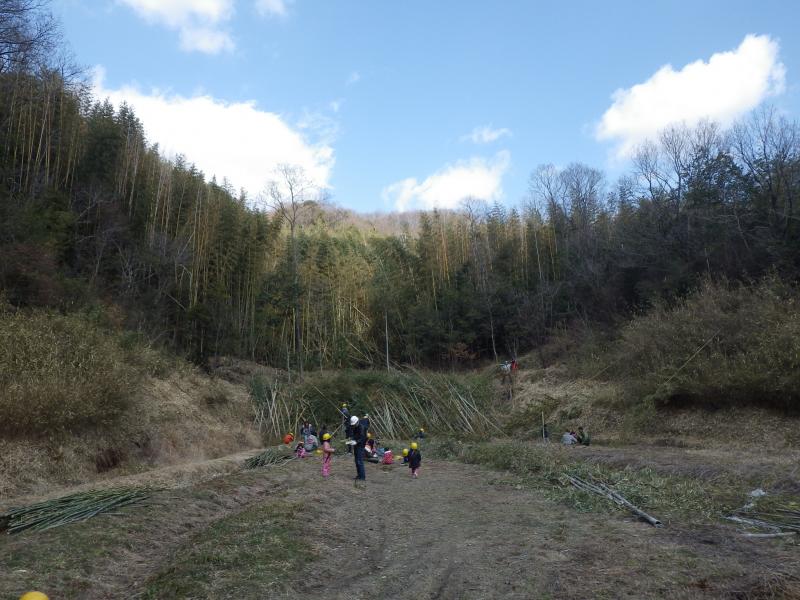 蓮花寺山竹林整備後