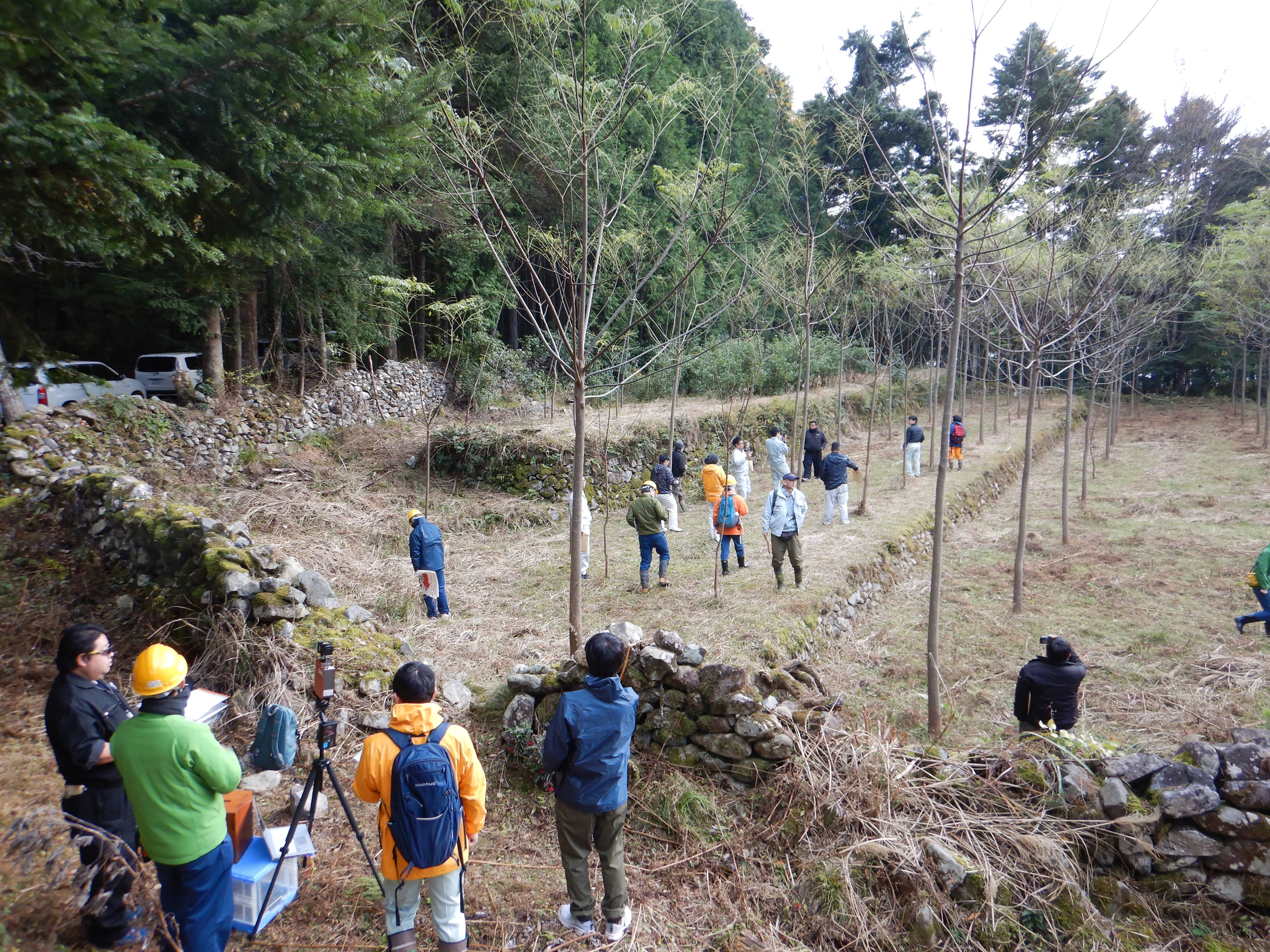 早生樹活用研究会　実証圃場での視察状況