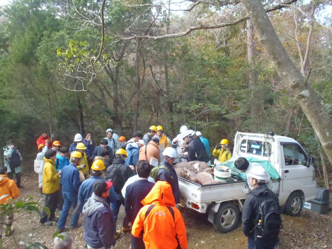 大型排水管の処理状況の見学風景