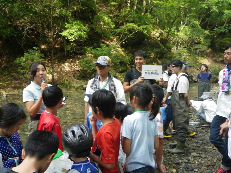 触媒生物多様性