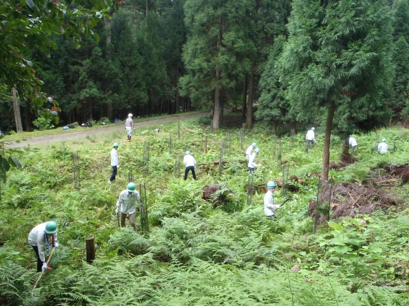 触媒下刈実行中