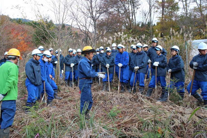 山高森林官植付説明