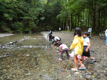 川辺観察