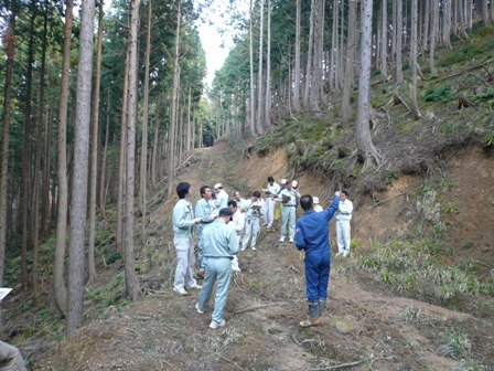 列状間伐視察３