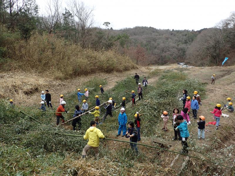 １６２１３未来の家田圃集積