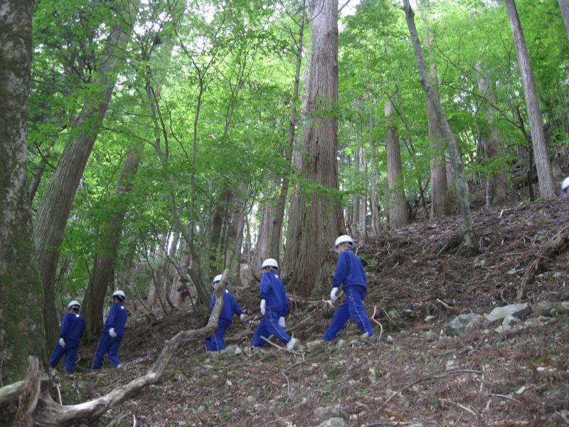 トライやる母樹林巡視