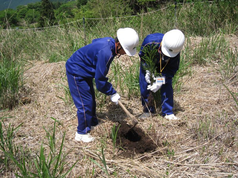 トライやる植付