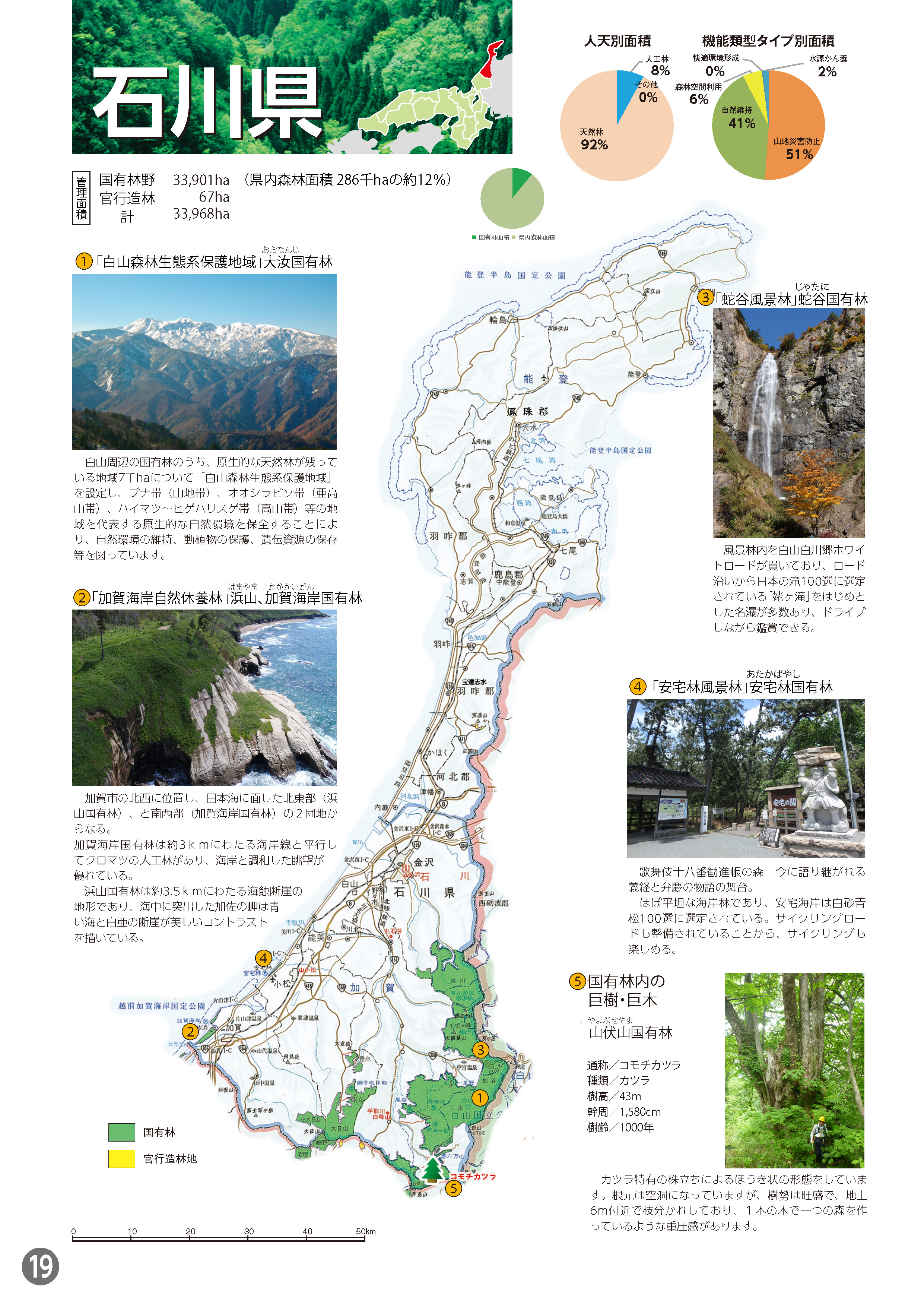 各府県の国有林