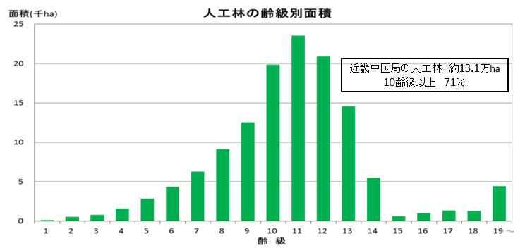 人工林の齢級別面積