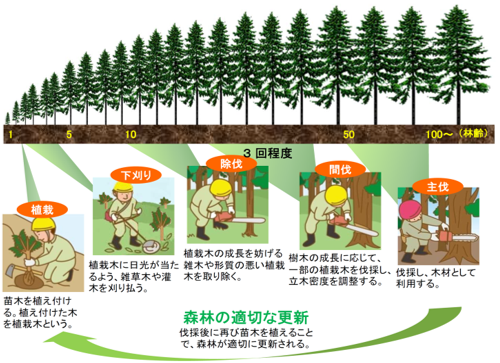 森林吸収源対策の必要性