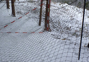 防護柵（斜め張り）の設置状況