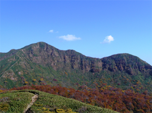 イヌワシ採餌環境・経ヶ岳