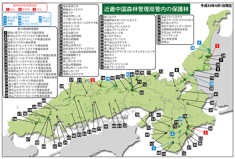 保護林の設定状況