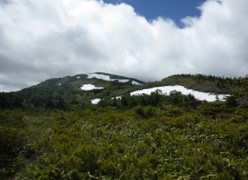 白山森林生態系保護地域遠景